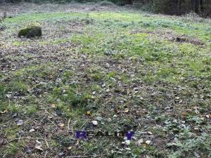 Prodej zahrady, Struhařov, 397 m2