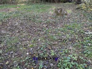 Prodej zahrady, Struhařov, 397 m2