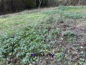 Prodej zahrady, Struhařov, 397 m2