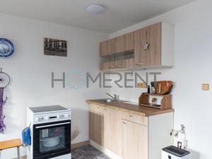 Pronájem bytu 1+kk, Mladá Boleslav - Mladá Boleslav IV, Luční, 29 m2
