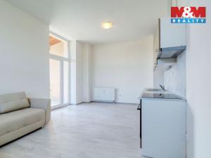 Pronájem bytu 2+kk, Janovice nad Úhlavou, Rozvojová zóna, 39 m2