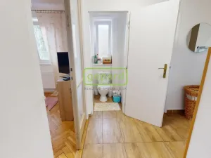 Prodej bytu 2+1, Teplice, Svojsíkova, 53 m2