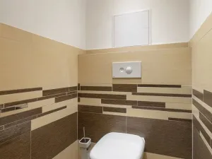 Pronájem bytu 3+kk, Praha - Žižkov, V zahrádkách, 74 m2