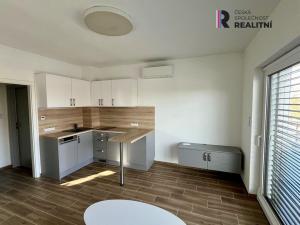 Pronájem bytu 1+kk, Žatec, Lounská, 22 m2