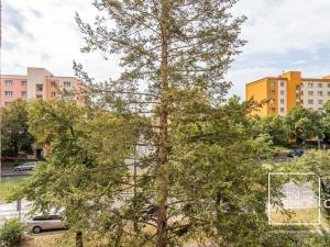 Pronájem bytu 2+1, Praha - Malešice, Počernická, 53 m2