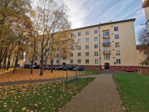 Prodej bytu 2+1, Pardubice - Zelené Předměstí, K Blahobytu, 53 m2