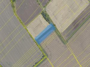 Prodej pole, Křečkov, 51997 m2