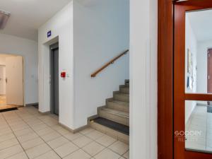 Pronájem bytu 3+kk, Praha - Dejvice, Paťanka, 81 m2