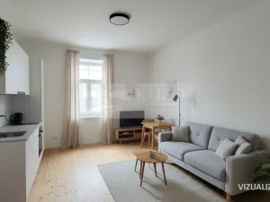Prodej bytu 1+kk, České Budějovice, Rudolfovská tř., 36 m2