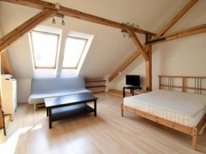 Pronájem bytu 1+kk, Brno - Brno-město, Veselá, 58 m2