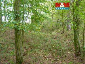 Prodej lesa, Dolní Habartice, 675 m2