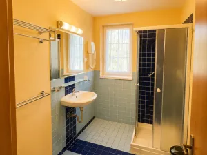 Prodej rodinného domu, Děpoltovice, 480 m2