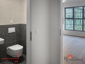 Pronájem bytu 1+kk, Brno - Zábrdovice, Bratislavská, 32 m2