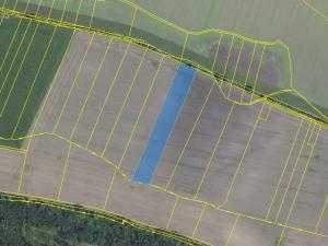 Prodej pole, Budiměřice, 10553 m2