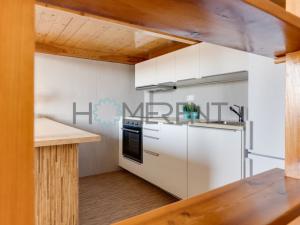 Pronájem bytu 1+kk, Praha - Nusle, U křížku, 30 m2