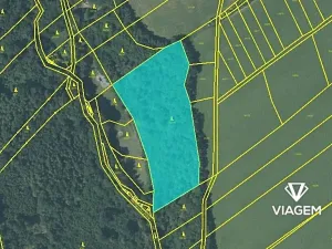 Prodej podílu lesa, Fulnek, 7911 m2