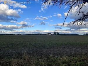 Prodej podílu lesa, Březovice, 36905 m2