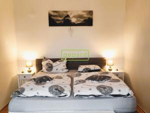 Pronájem bytu 2+1, Karlovy Vary, náměstí Dr. M. Horákové, 59 m2
