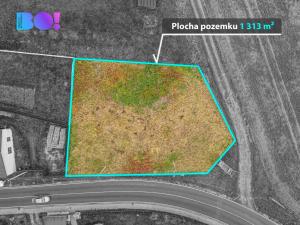 Prodej pozemku pro bydlení, Dlouhá Loučka, 1313 m2