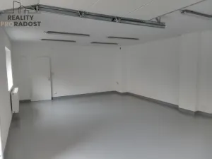 Pronájem skladu, Teplice, Denisova, 50 m2