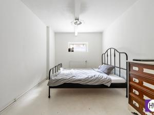 Prodej vícegeneračního domu, Praha, Na Truhlářce, 201 m2