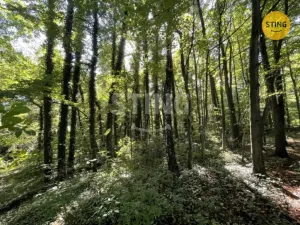 Prodej pozemku pro bydlení, Hnojník, 26902 m2