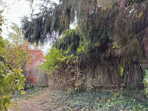 Prodej rodinného domu, Čejč, 142 m2