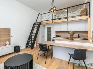 Pronájem bytu 1+kk, Praha - Žižkov, Malešická, 40 m2