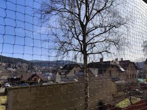 Pronájem bytu 3+1, Jablonec nad Nisou, Vysoká, 75 m2