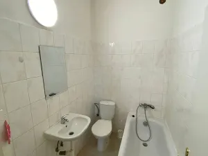Pronájem bytu 2+kk, Mladé Buky, 29 m2