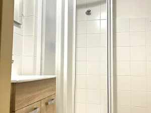 Prodej bytu 1+1, Plzeň, Tělocvičná, 47 m2