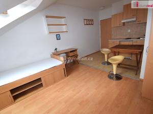 Pronájem bytu 1+kk, Praha - Smíchov, Nad Palatou, 25 m2