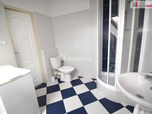 Pronájem bytu 1+kk, Praha - Smíchov, Nad Palatou, 25 m2