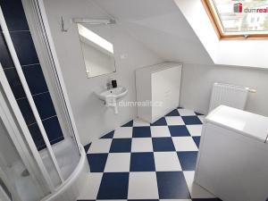 Pronájem bytu 1+kk, Praha - Smíchov, Nad Palatou, 25 m2