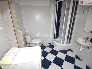 Pronájem bytu 1+kk, Praha - Smíchov, Nad Palatou, 25 m2