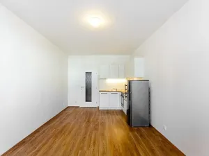 Pronájem bytu 1+kk, Praha - Vršovice, Rybalkova, 28 m2