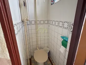 Prodej rodinného domu, Břasy, 240 m2