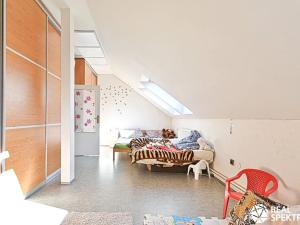 Prodej skladu, Cetkovice, Velká Strana, 420 m2