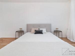 Prodej bytu 4+kk, Praha - Žižkov, Hartigova, 86 m2