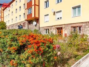 Prodej bytu 1+1, Meziboří, Okružní, 43 m2