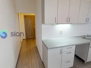 Pronájem bytu 2+1, Ostrava - Hrabůvka, Holasova, 55 m2