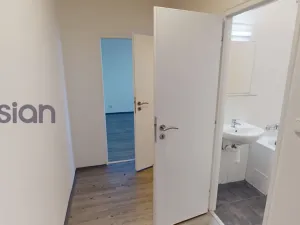 Pronájem bytu 2+1, Ostrava - Hrabůvka, Holasova, 55 m2