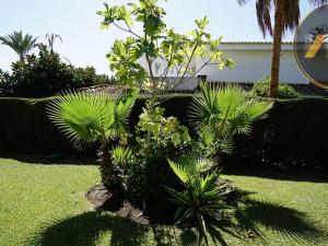 Prodej vily, Estepona, Španělsko, 220 m2