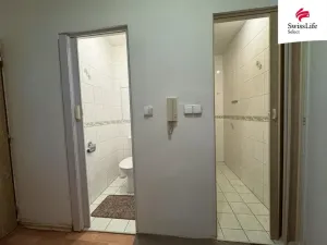 Pronájem bytu 1+1, Starý Plzenec, Hálkova, 39 m2