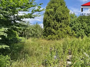 Prodej rodinného domu, Vranová Lhota, 139 m2