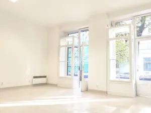 Prodej obchodního prostoru, Praha - Nusle, 34 m2