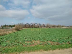 Prodej pole, Vranovice, 1596 m2