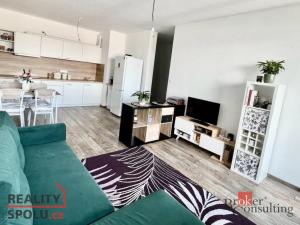 Prodej bytu 2+kk, Plzeň - Východní Předměstí, Sladová, 55 m2