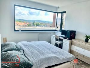 Prodej bytu 2+kk, Plzeň - Východní Předměstí, Sladová, 55 m2