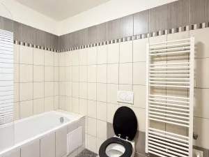 Pronájem bytu 1+1, Liberec - Liberec XXX-Vratislavice nad Nisou, Dlážděná, 40 m2